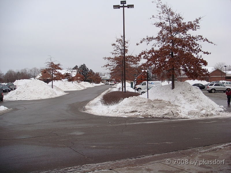 001 A2 Snowfall & Trees [2008 Dec 20].JPG - Digging out after a big snowfall in Ann Arbor, Michigan.